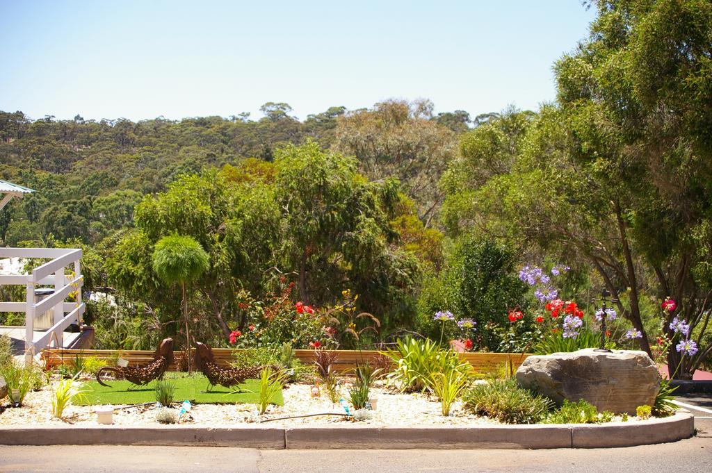 Clare Valley Motel Eksteriør billede