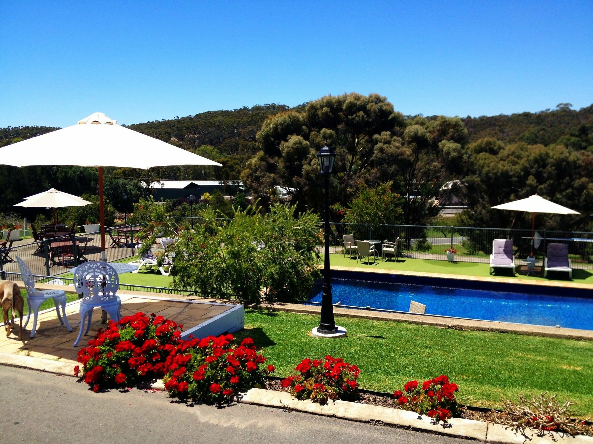 Clare Valley Motel Eksteriør billede