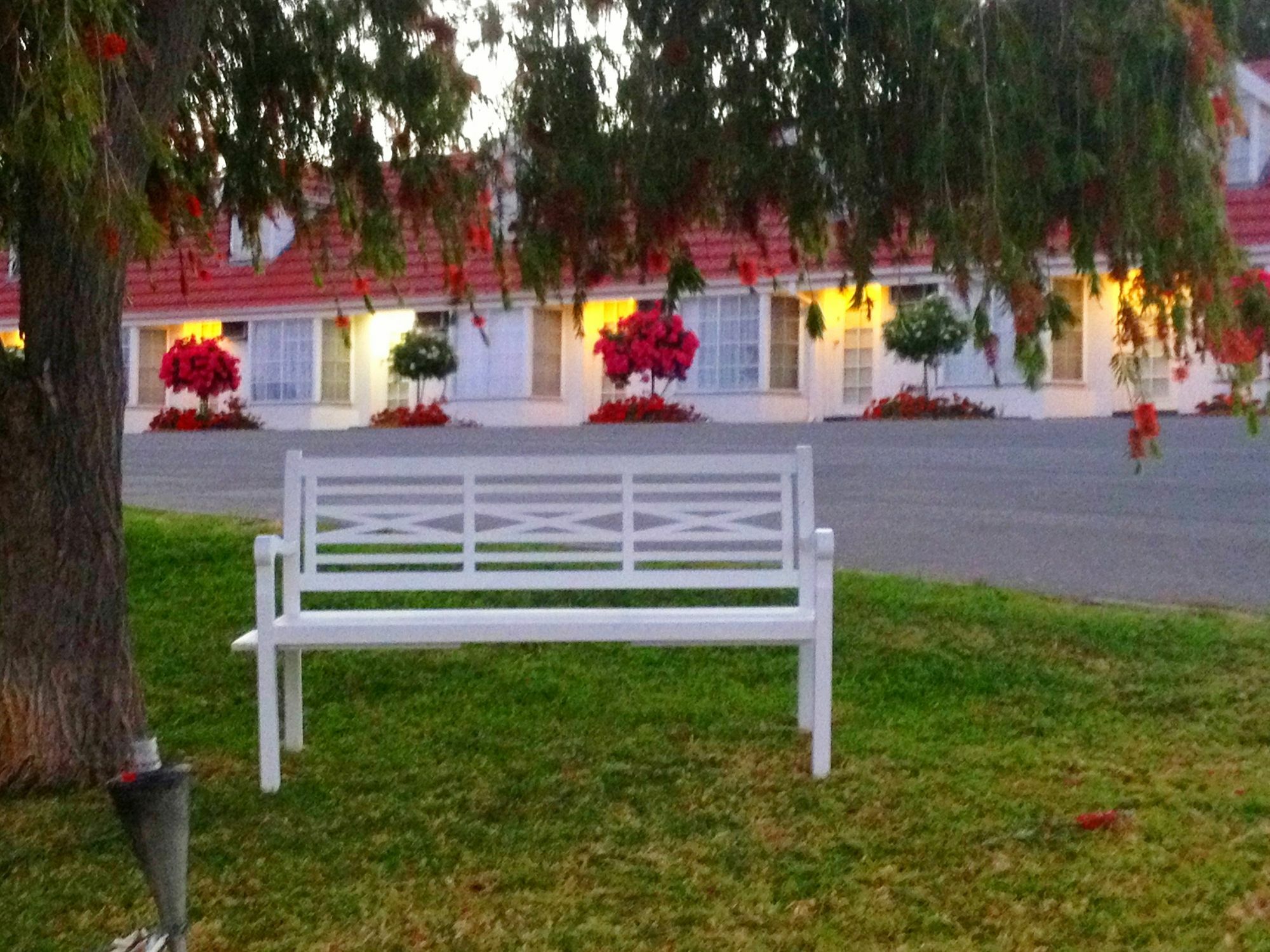 Clare Valley Motel Eksteriør billede
